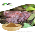 Lingzhi Ganoderma Lucidum Extract reishi mushroom powder